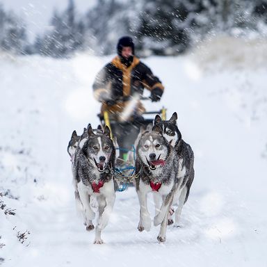 Sledding_6b