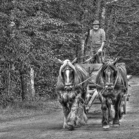 Man_and_horses_bw