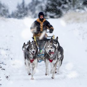 Sledding_6f