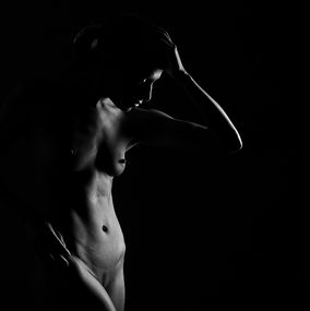 Model N3BW