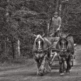 Man_and_horses_SE