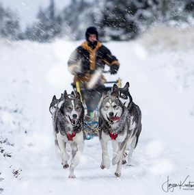 Sledding-6