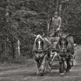 Man_and_horses_SEc