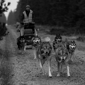Sledding 8BW