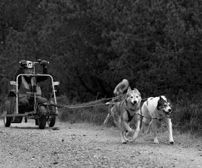 KAM29192BW