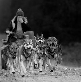 Sledding_7BW