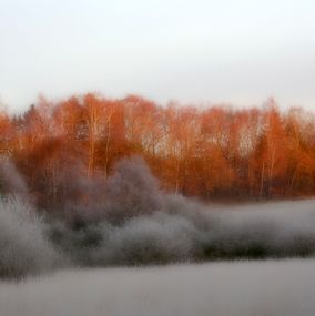 Traekstien 4