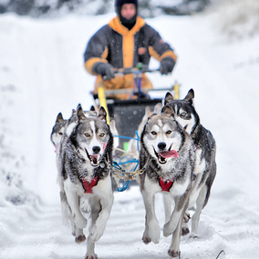 Sledding-2