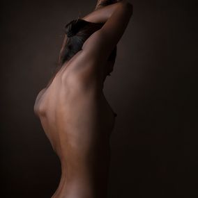 Model_N16