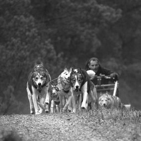 Sledding 1BW