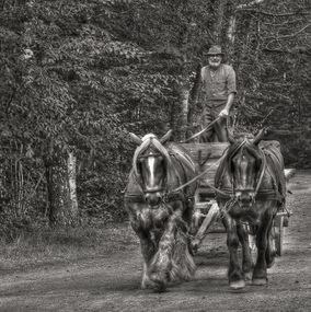 Man_and_horses_SEb