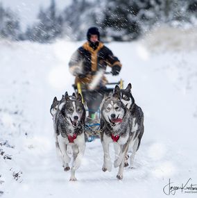 Sledding_6l
